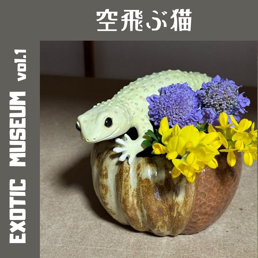 空飛ぶ猫｜EXOTIC MUSEUM VOL.1
