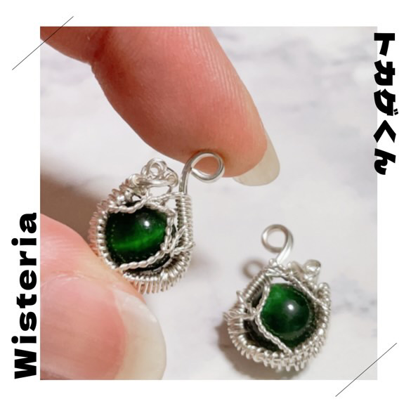 Wisteria｜EXOTIC MUSEUM VOL.1