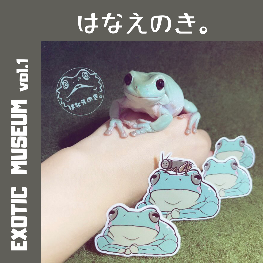 はなえのき。｜EXOTIC MUSEUM VOL.1