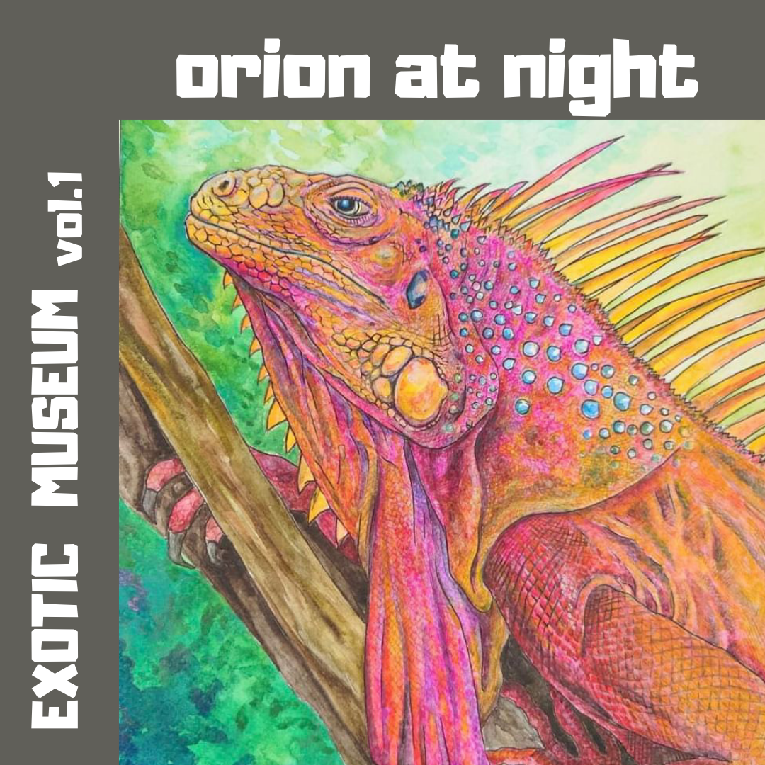 orion at night｜EXOTIC MUSEUM VOL.1